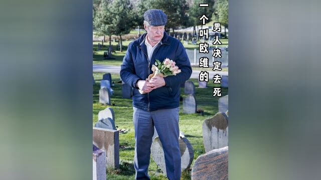 第三集:《一个叫欧维的男人决定去死》看完这部瑞典的高分电影我被治愈了下