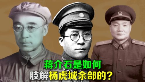 西安事变后，蒋介石是如何肢解杨虎城余部的？