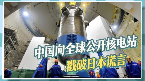中国罕见公开核电站，200余名外国人获准参观，或因“过于落后”