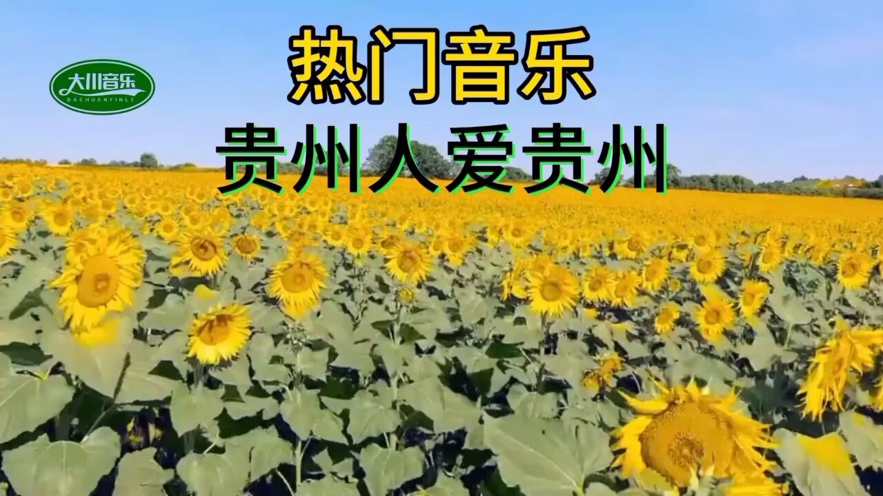 热门音乐,经典音乐,贵州人爱贵州