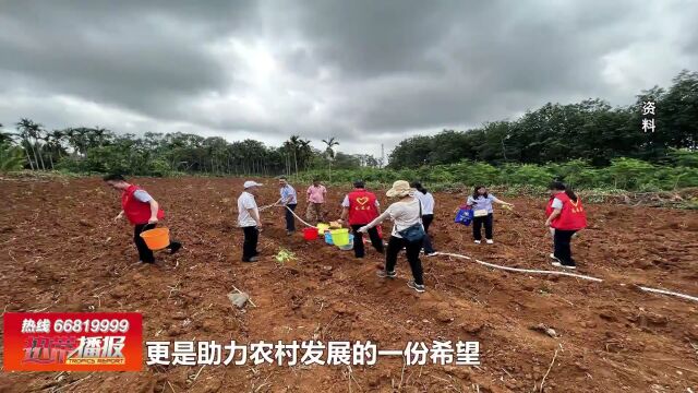 海口会客厅:精准助力乡村振兴 琼山税务踏实推进