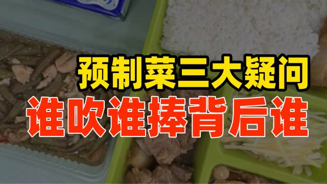 “中央一号文件”提预制菜仅八个字!预制菜被吹捧,是谁在作怪?