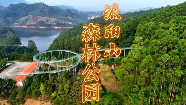 南宁周边的秘境森林公园,派阳山森林公园,山水林泉交相辉映,森林的覆盖高达92.7%