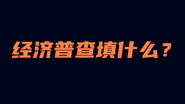 经济普查填什么?