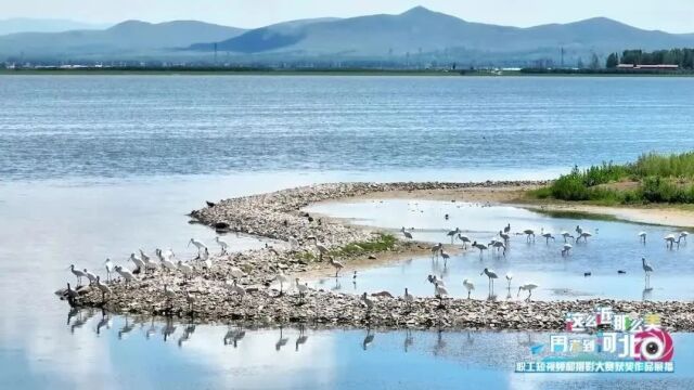 “这么近 那么美 周末到河北”职工短视频和摄影大赛获奖作品展播⑧