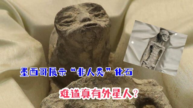 墨西哥展示神秘“外星人”化石,距今已有千年,背后原因不简单?