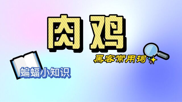 一分钟带你了解黑客术语中的“肉鸡”是什么?