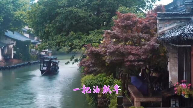 云菲菲《烟雨江南》红尘的渡口叹前世疑今生十里柔情望春风