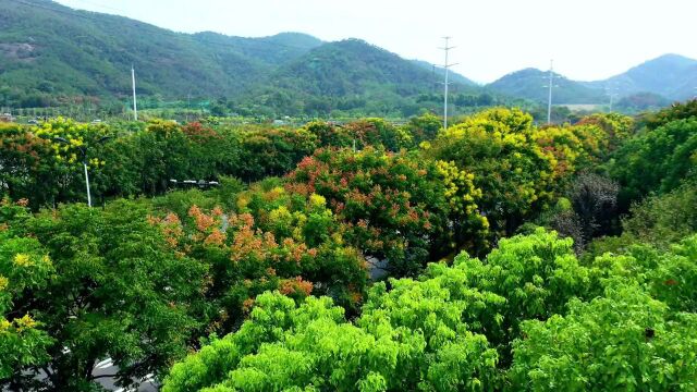 赶紧办理!凭这个证很多地方可免费