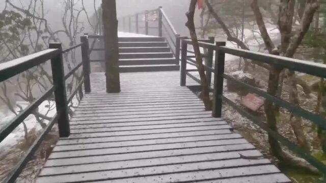 昆明!下!雪!啦!