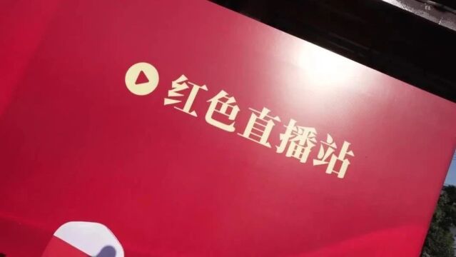 架起“红色直播+乡村振兴”新桥梁,“e网情深”网信民生实践红色直播助农举行