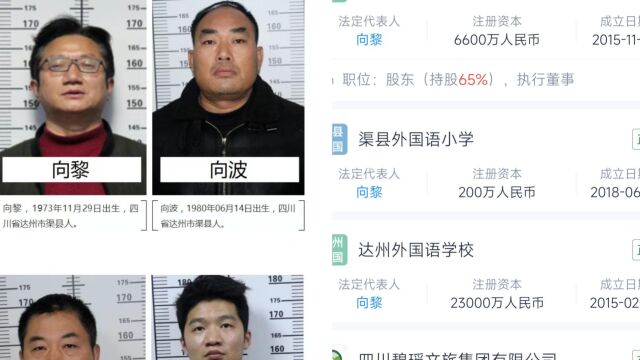 达州警方有奖征集涉黑组织违法犯罪线索,头目曾是学校校长入股16家企业