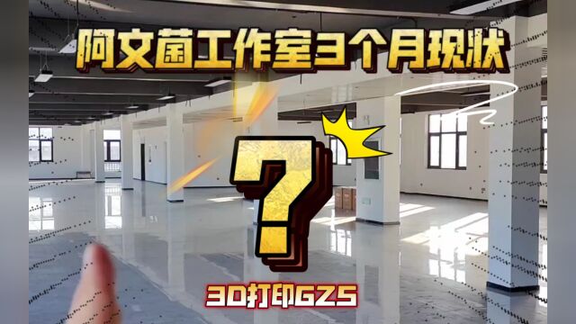 阿文菌3D打印工作室成立3个月现状!除了代打,还有哪些业务呢?