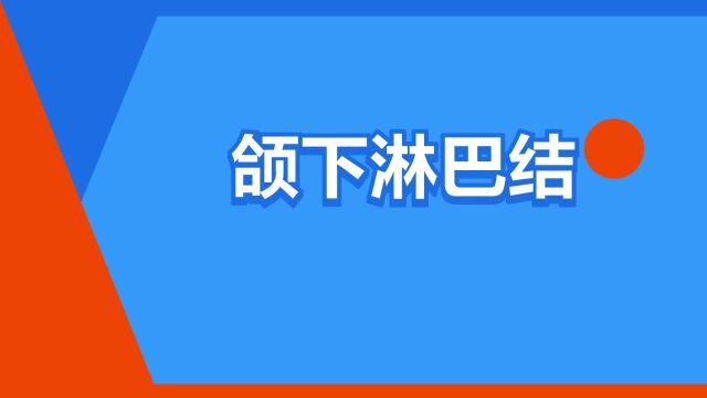 “颌下淋巴结”是什么意思?