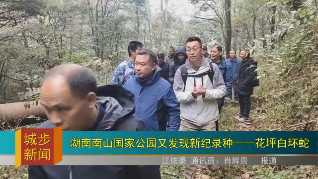 湖南南山国家公园又发现新纪录种——花坪白环蛇