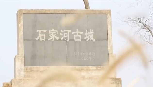 国家文物局:中华文明探源工程最新进展今天发布