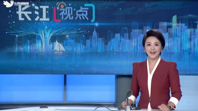 东西湖区“1+4”产业彰显韧性