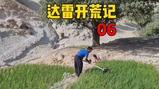 达雷开荒记#6