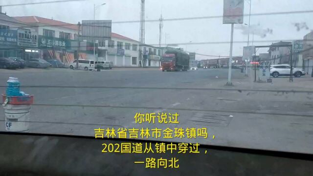 你听说过吉林省吉林市金珠镇吗,202国道从镇中穿过,一路向北