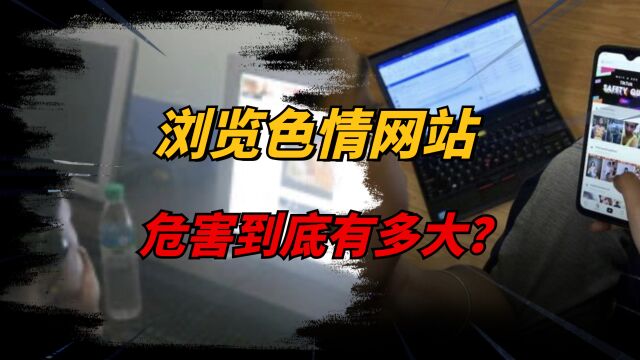 浏览颜色网站有多危险?删记录就万事大吉了?危险已经其实早靠近了