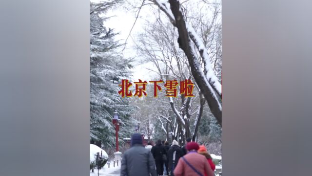 北京下雪啦,据北京市气象台消息,昨夜到今天上午北京全市普降中到大雪,为今冬首场明显降雪.