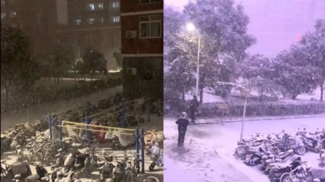 河南出现雷打雪现象:一边下雪一边打雷,紫色闪电照亮夜空