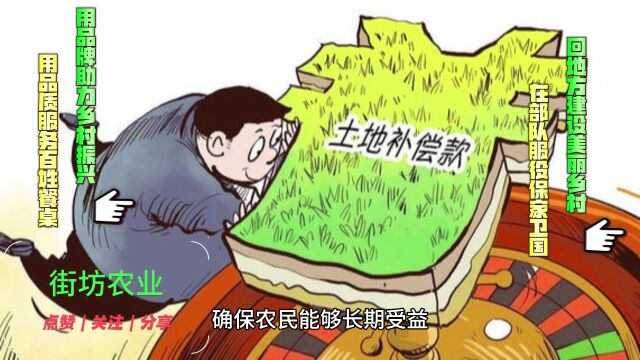 街坊农业阎文峰:参与乡村项目需要注意事项