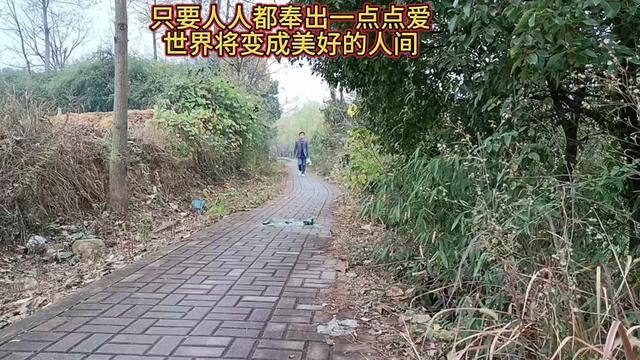 买菜回来的路上发现一推玻璃渣