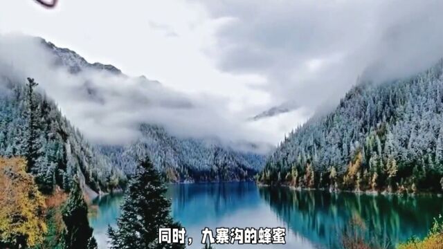 九寨沟旅游攻略:探索四川的世外桃源