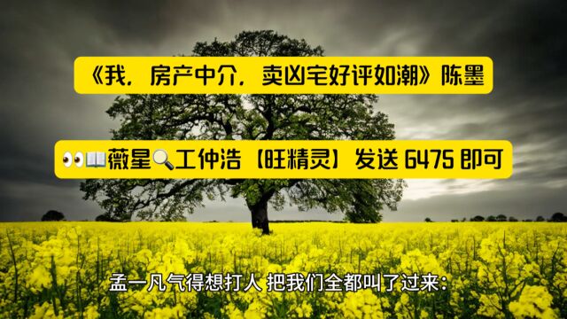 《我,房产中介,卖凶宅好评如潮》陈墨全文在线阅读◇无删减