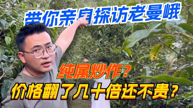 价格翻了几十倍还不贵?纯属炒作? 阿伟带你亲身探访老曼峨!