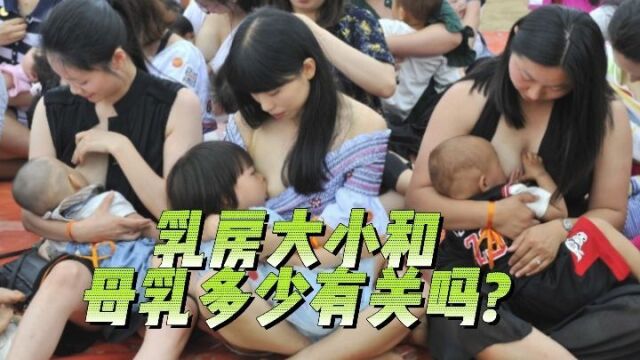 乳房大小和母乳多少有关吗