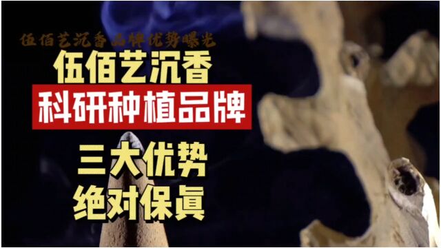 伍佰艺沉香的科研优势和种植优势决定了他的品牌优势.他可以做到源头保真:伍佰艺沉香为了继承与发展中国香文化,只做保真沉香!为此从