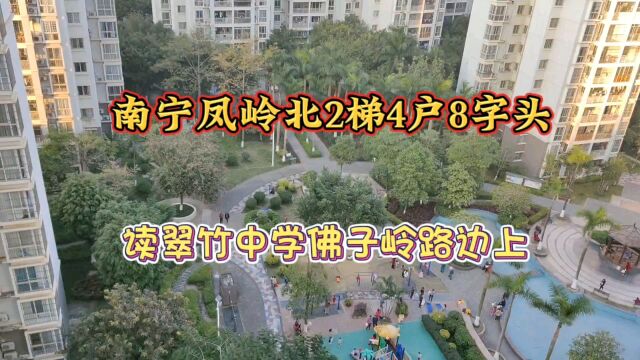 南宁凤岭北2梯4户八字头读翠竹中学佛子岭路边上,看小区花园