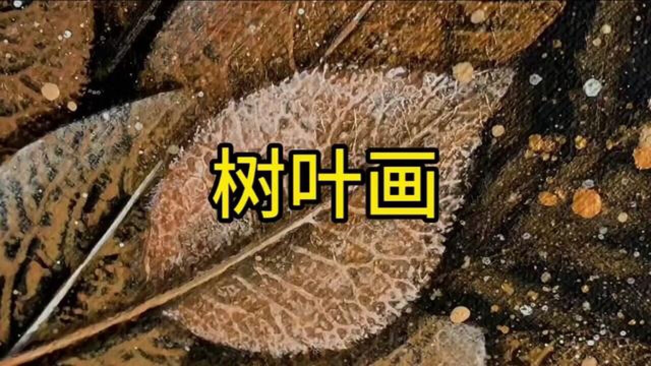 树叶画绘画教程#画画其实很简单#树叶画#手工树叶画制作#一起学画画_高清1080P在线观看平台_腾讯视频