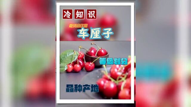 车厘子中的“J”代表着什么,与甜度有关吗?