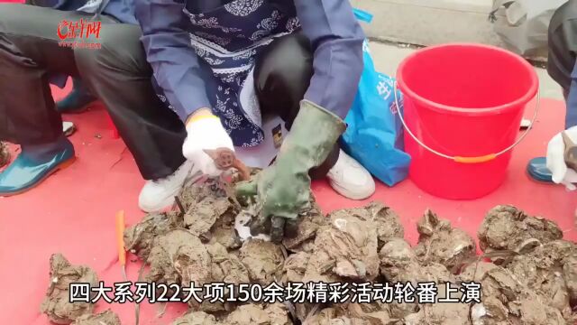 深圳沙井金蚝美食民俗文化节走到第20年:塑“千年蚝乡”品牌 打造蚝文化民俗文化旅游胜地