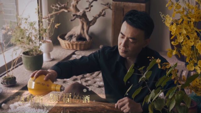 中颂福酒品牌歌曲《为您颂福》MV