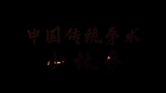 僧众英雄豪气在 武林功夫美名传 #少林拳 #传统武术 #功夫