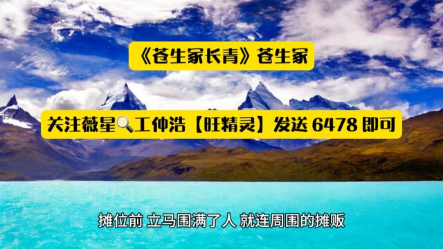 《苍生冢长青》苍生冢穿越爆火全文TXT阅读◇无删减