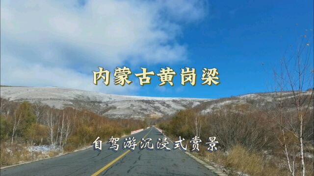 自驾游内蒙古黄岗梁,沉浸式赏雪,银装素裹的白桦林太美了!