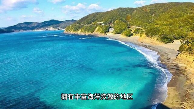 日本三重县志摩市大量死鱼事件:原因与影响探究