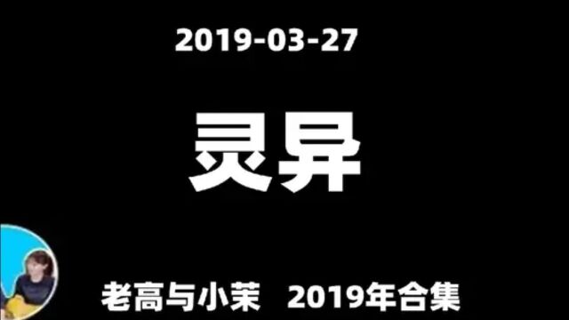 【老高与小茉2019年合集】【一个人不要看】至少需要4个人一起看的影片