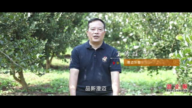 品牌澄就|乐香油茶 王笃雄:做好山柚油深加工产业链