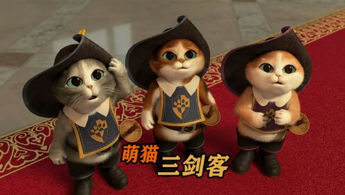 《萌猫三剑客》