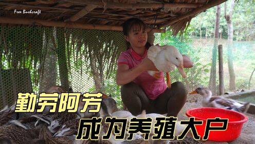 这就是越南女孩的真实生活，平时没班可以上，只用在家养猪养鸭