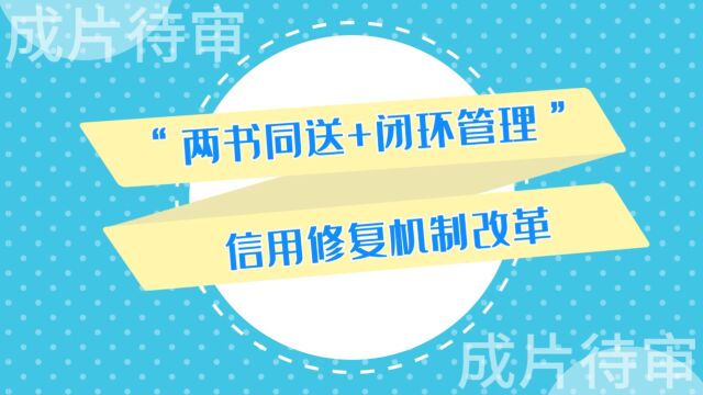 20 、“两书同送+闭环管理”信用修复机制改革