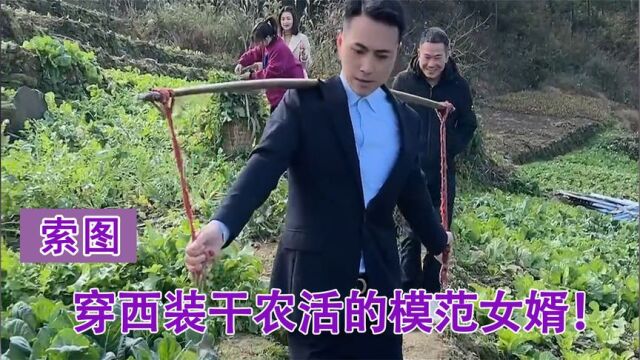 索图:城里女婿穿西装帮老丈人干农活,新车也能拉菜叶!