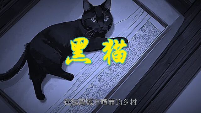 《九》民间故事:黑猫