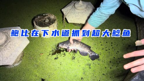 鲍比也好友夜间捕鱼，结果连续抓到2条蛇